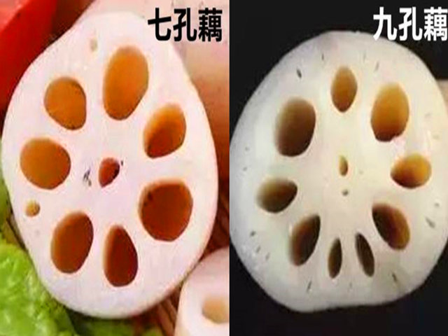 一:莲藕的种类莲藕的品种比较多,有石上藕,荷藕,雪藕,地藕,红花藕和