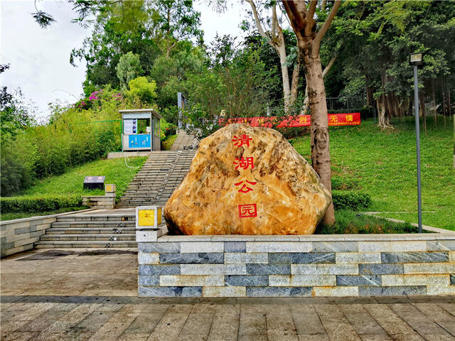 清湖公园是个有故事的地方,这里还隐藏着一个超美的月季园