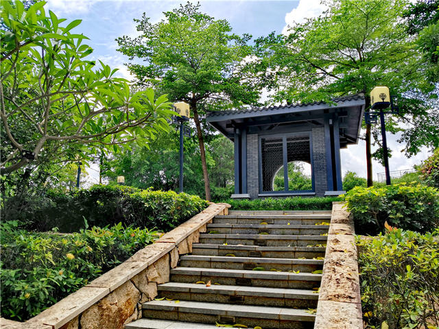 清湖公园是个有故事的地方,这里还隐藏着一个超美的月季园