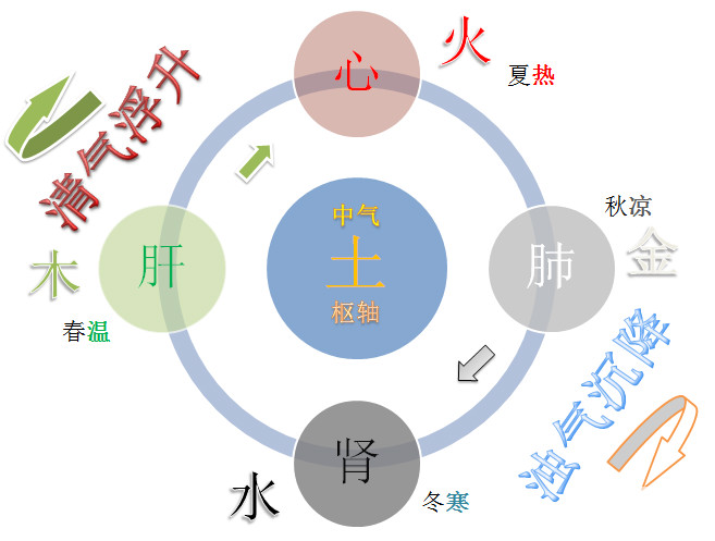 周易阴阳五行理论和中医治病整体观思想