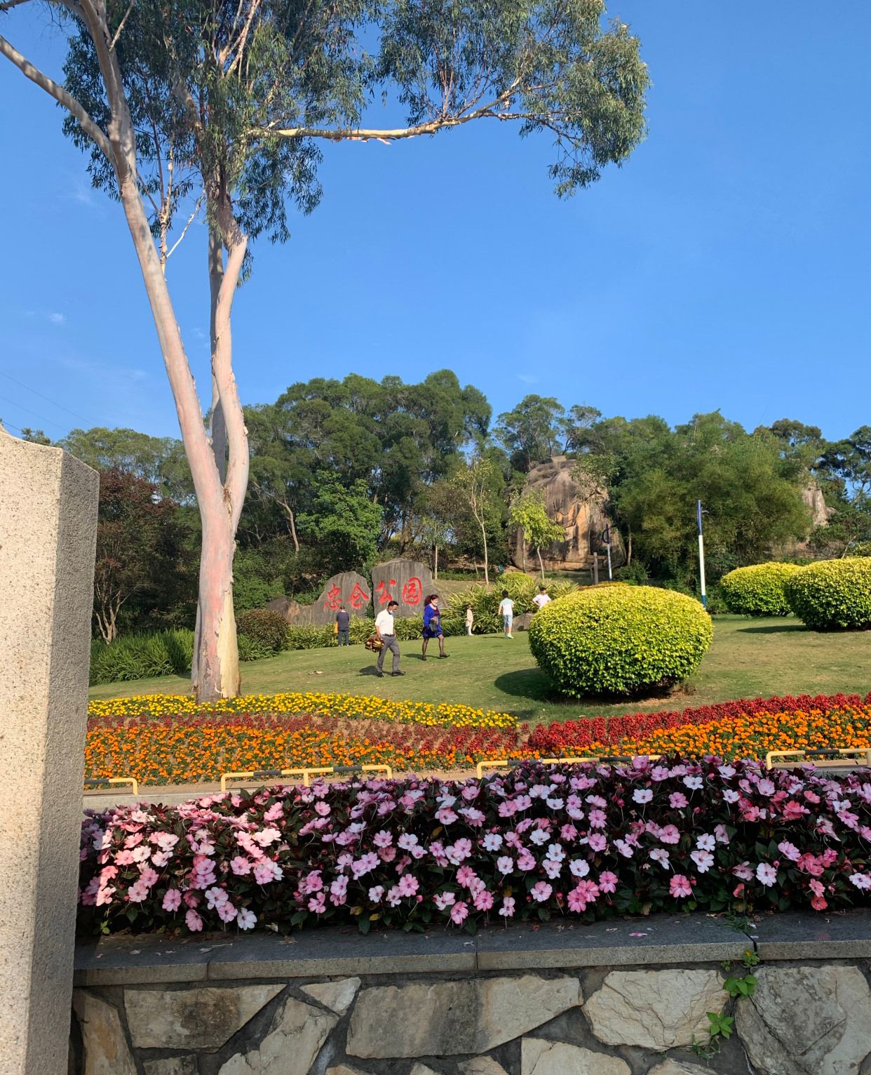 五一家庭版游记打卡景点,厦门忠仑公园_高清图集_新浪网