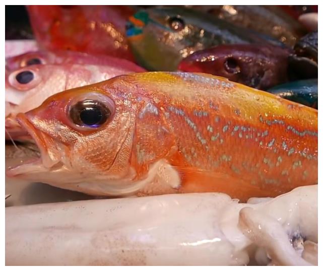 日本海产市场最有名的鱼,无论是做生鱼片还是烹饪,口感都是一流西溪爱