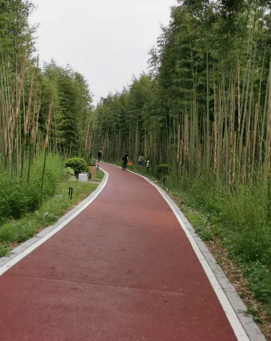 漫步径山苕溪听竹海林涛阵阵把玩溪流野趣