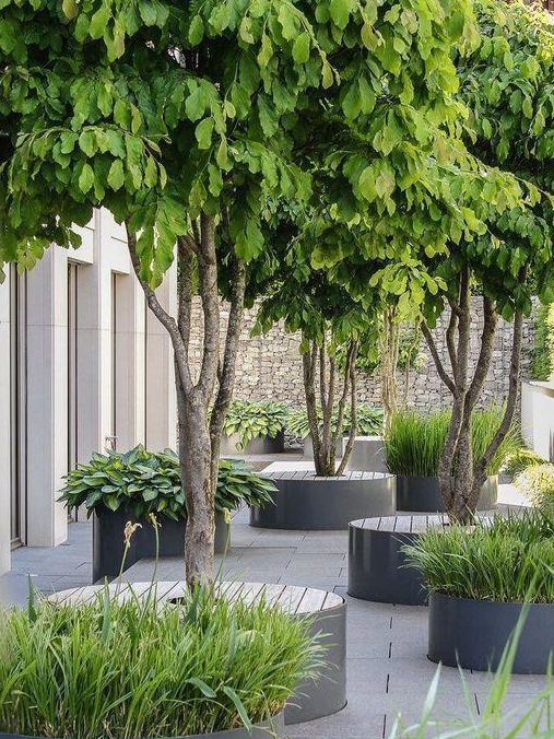 绿树成荫,设有花坛,木制长椅和石头.