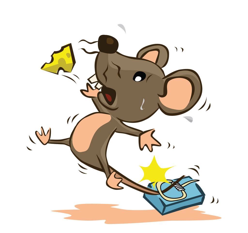 家里房子里面老鼠特别多?有什么好的方法来消灭老鼠?