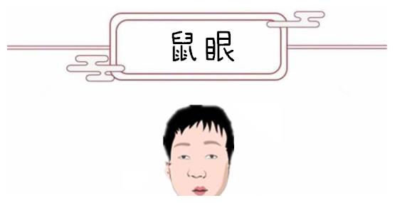 鼠眼我们看一个人不坏好意,总是说他们"贼眉鼠眼",这里所说的鼠眼,就