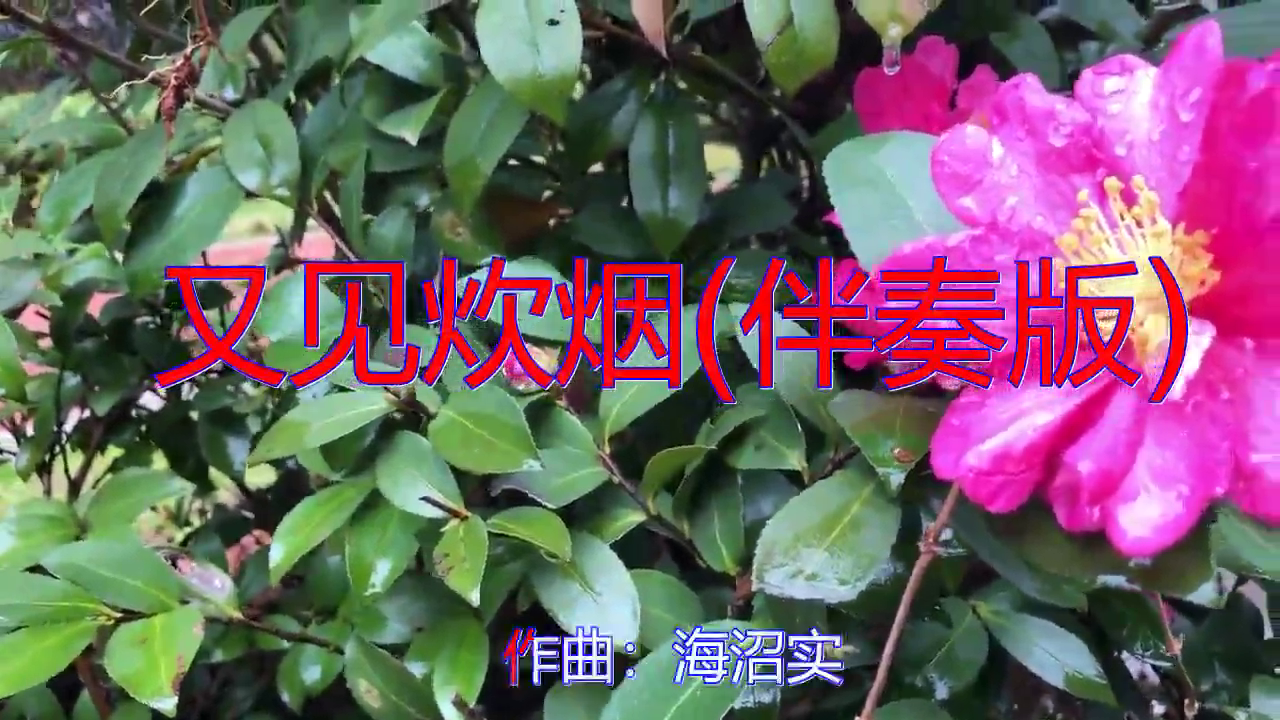韩宝仪的《又见炊烟(伴奏版)》,永恒的经典,好听至极!