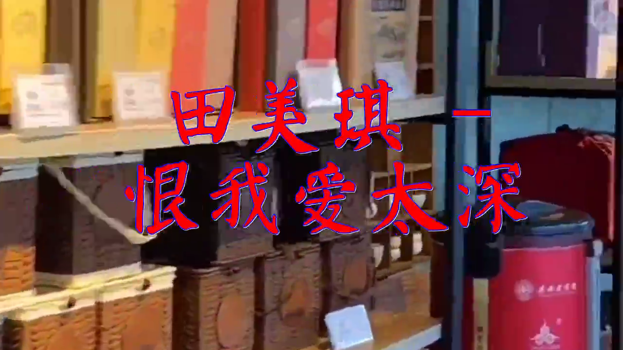 dj何鹏《田美琪 - 恨我爱太深》,嗓音甜美,让人沉醉