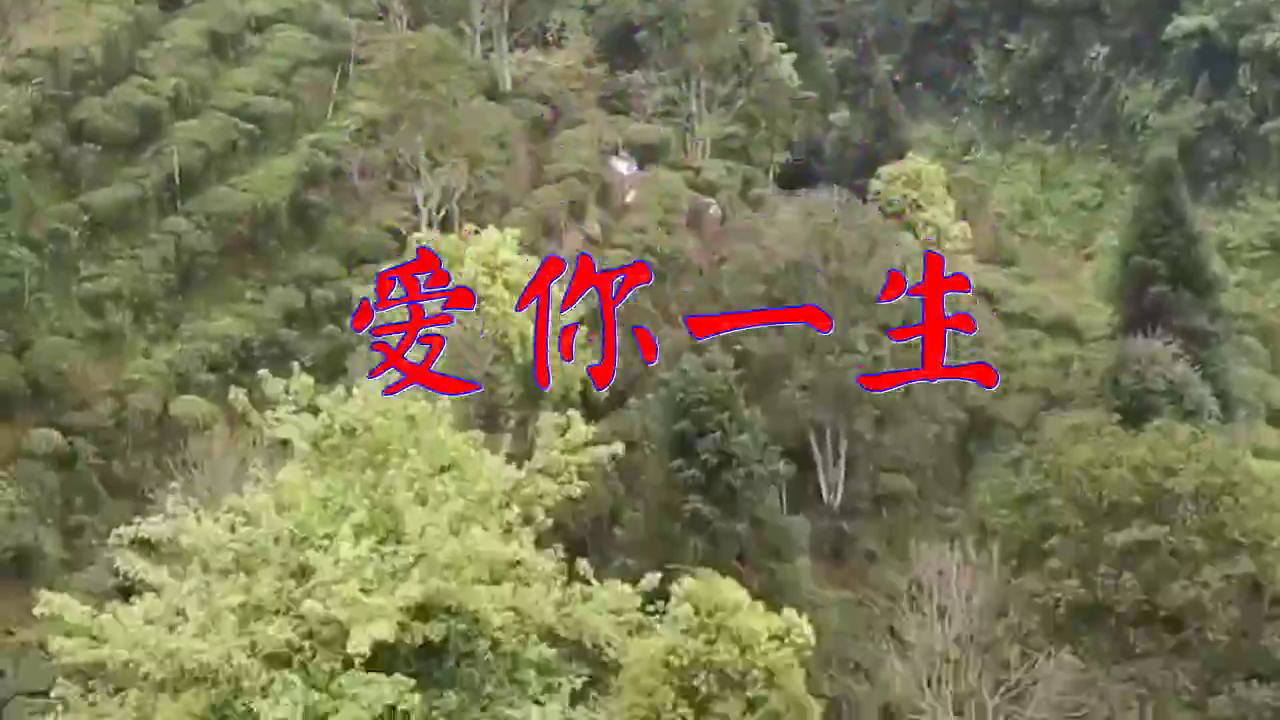 分享杨哲的经典歌曲《爱你一生》,独具风韵,百听不厌