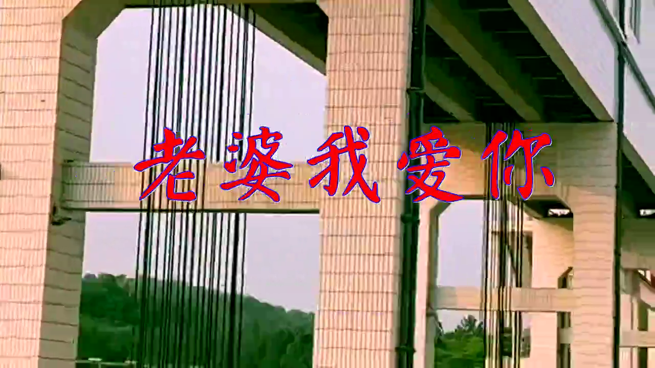 徐海涛,dj何鹏的一首《老婆我爱你》,唯美动听,太牛了
