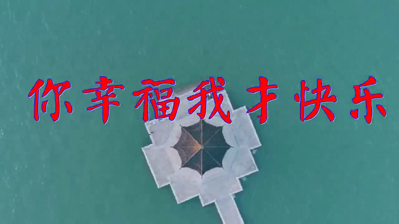 刘馨月,王建荣,dj何鹏《你幸福我才快乐》,唱的太好听,收藏