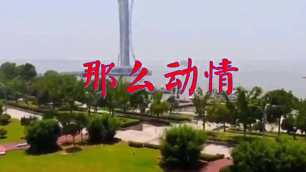 望海高歌那么动情情深意长感人至深