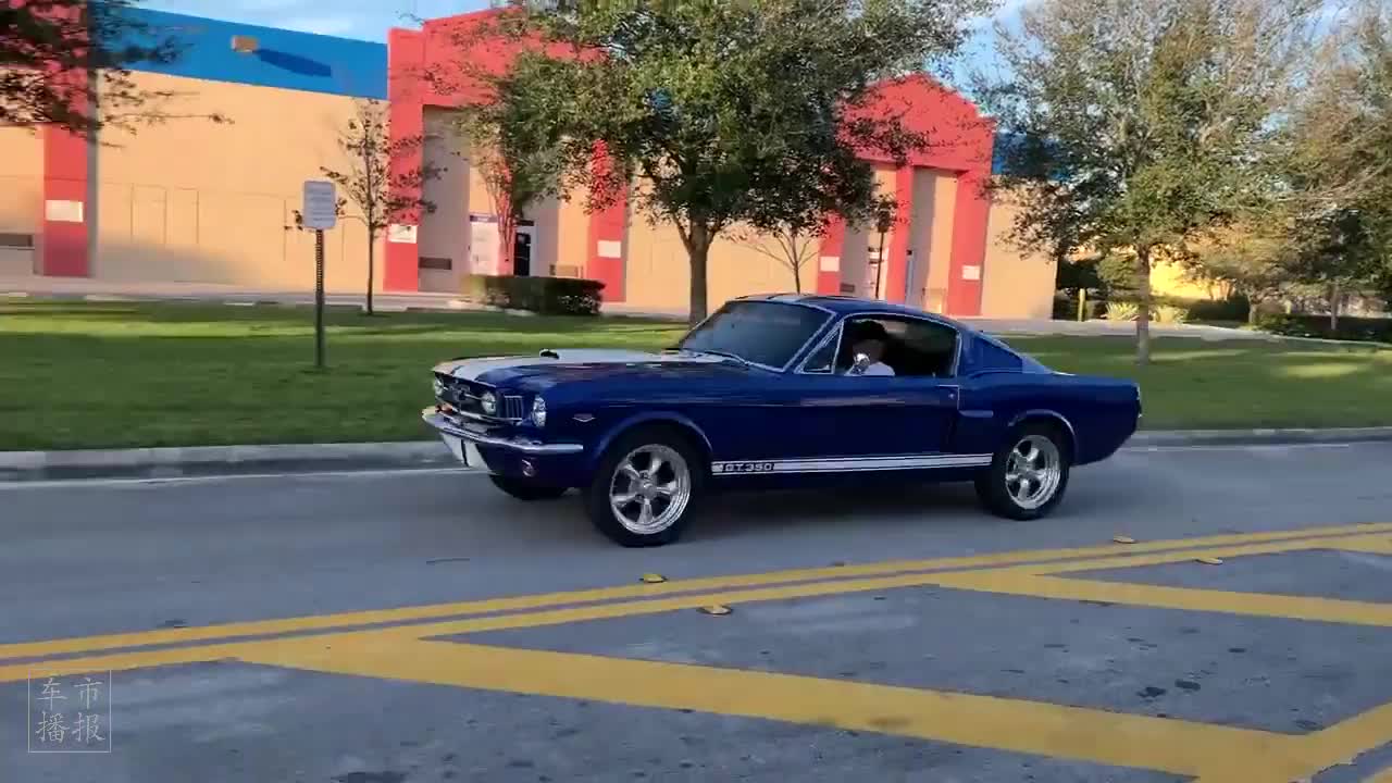1966款 福特 野马 gt350 快背版