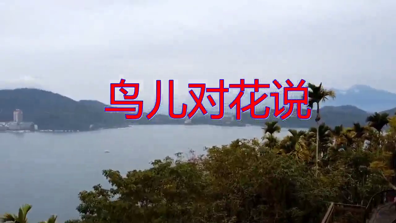 崔伟立的一首《鸟儿对花说》,歌词太完美了,无法超越的经典