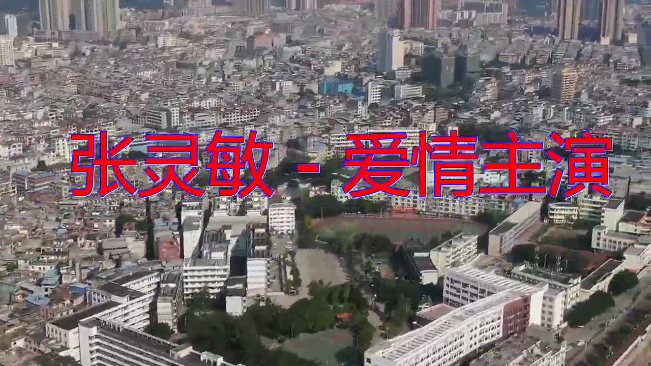 dj何鹏《张灵敏 - 爱情主演》,听了一遍又一遍