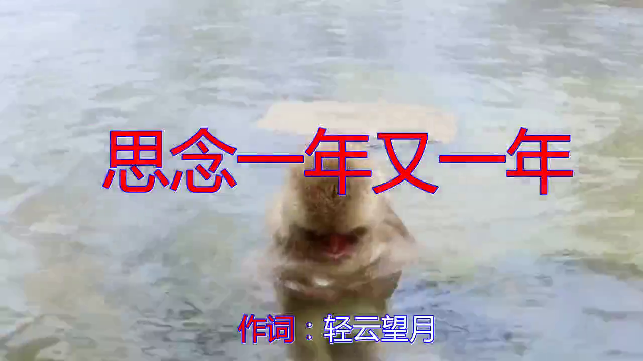 分享一首《思念一年又一年》,歌声清柔如水,声声柔情