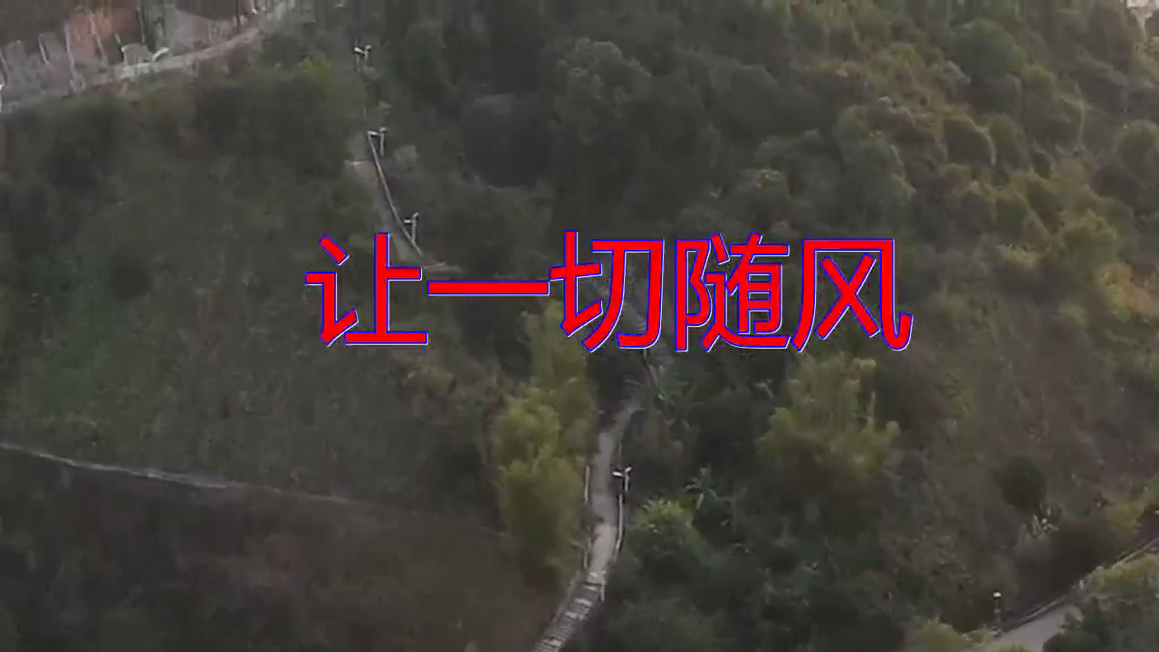 谭咏麟的一首《让一切随风》,嗓音太美妙了,让人怦然心动