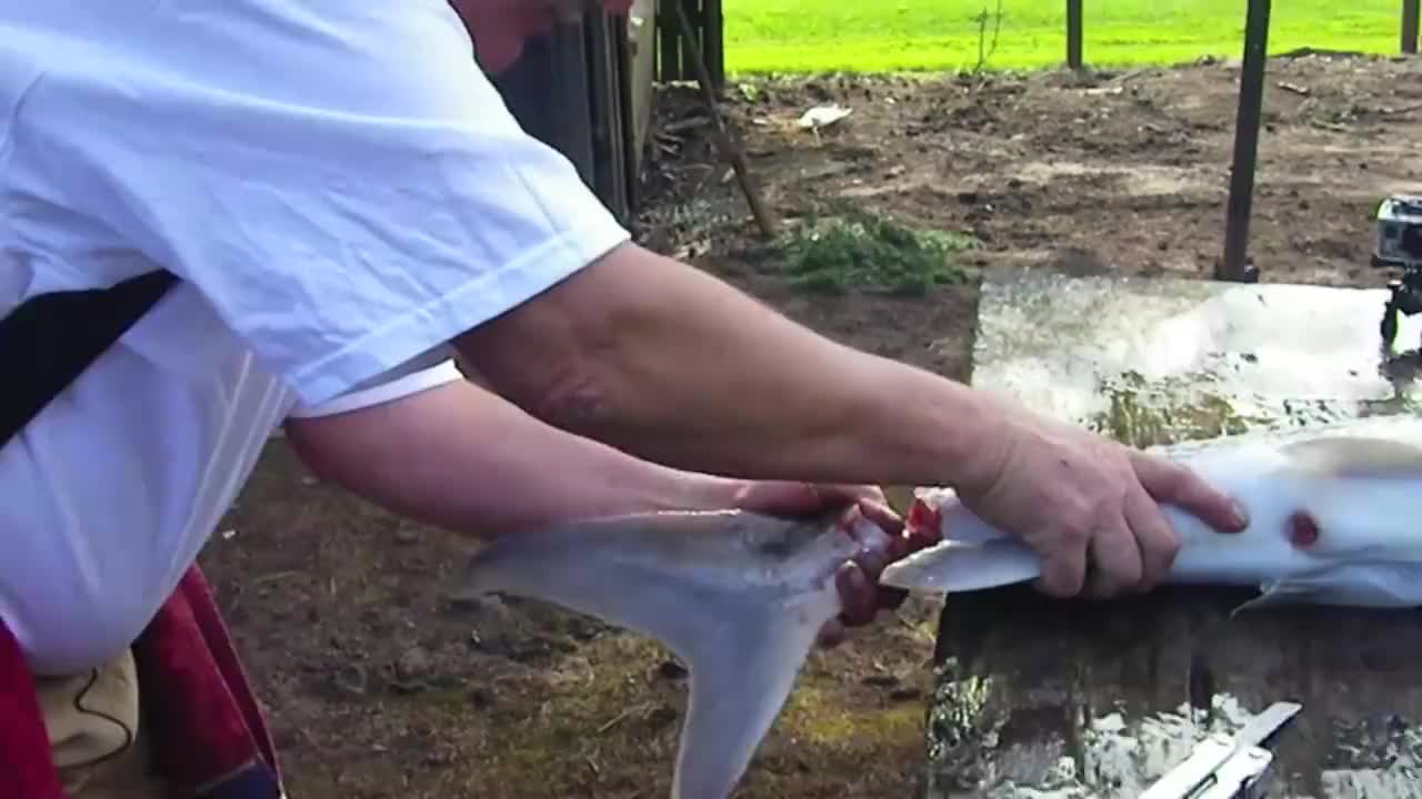 最新的video播放 00:00 01:16 01:16 为您推荐: 第一次看见"抽龙筋"