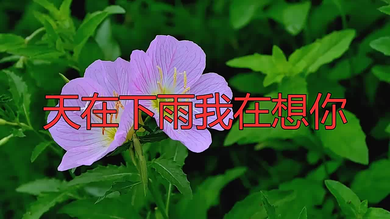 太走心了!祁隆唱的经典之作《天在下雨我在想你》,如此动人