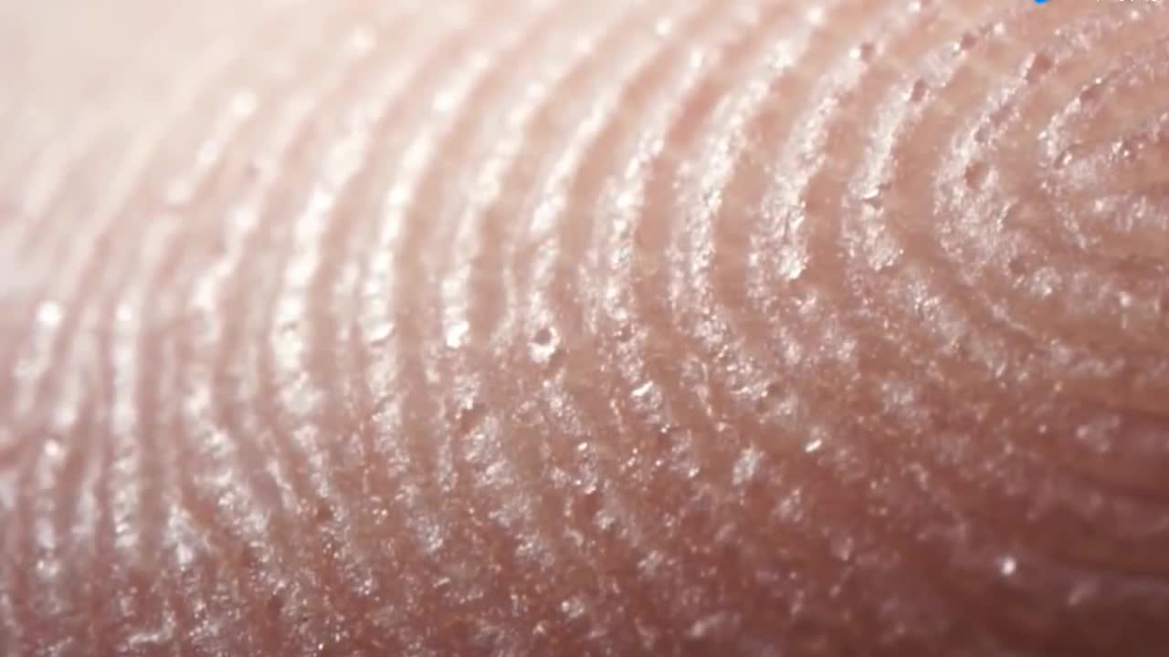 手出汗时在显微镜下会是怎样,简直美翻了