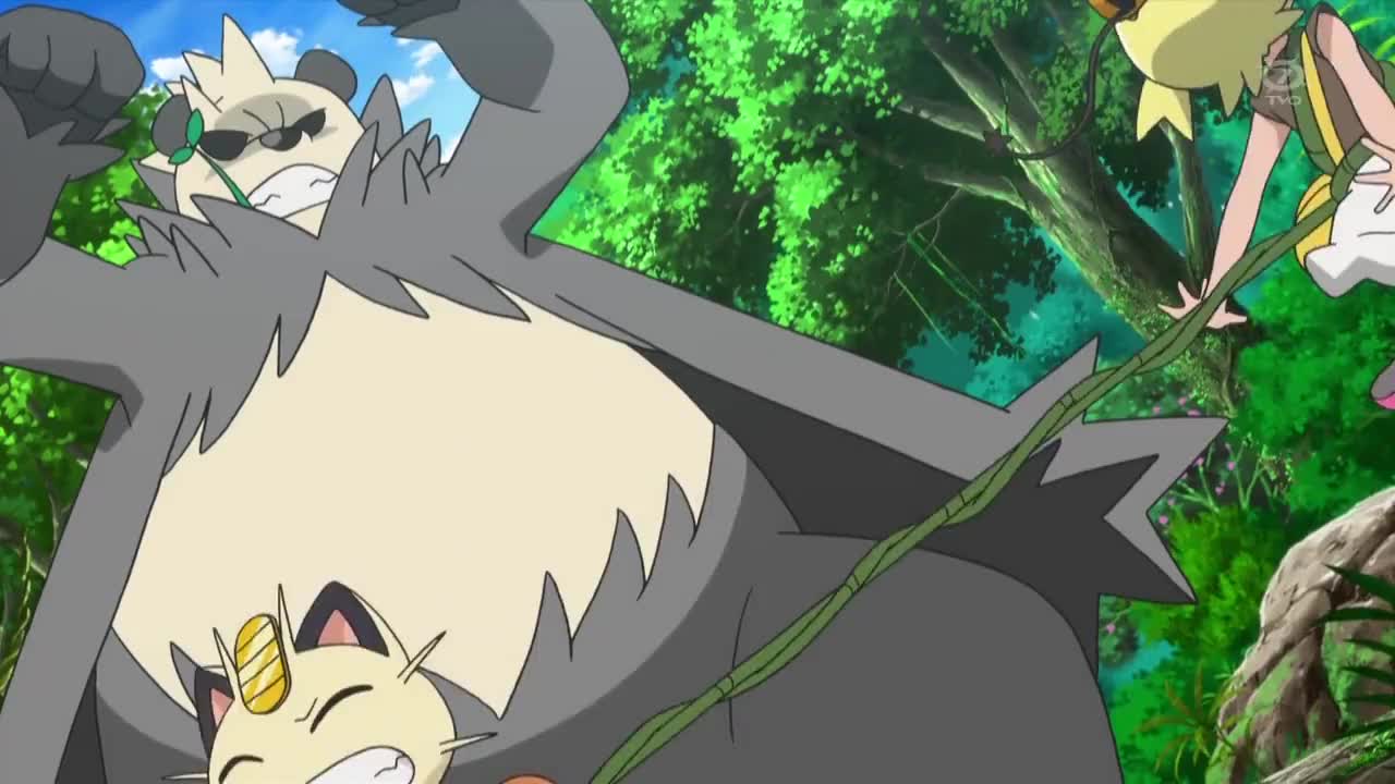 霸道熊猫情追不舍尤加利和喵喵只能落荒而逃