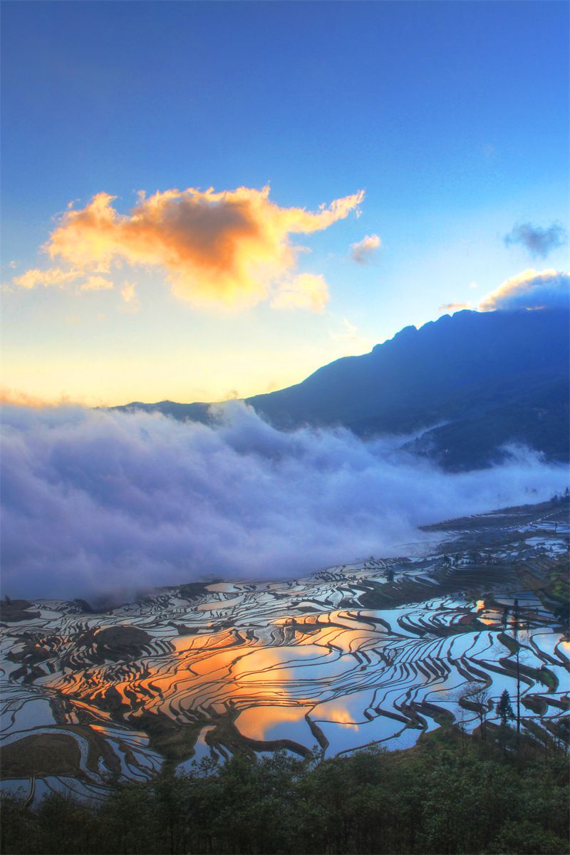 千年哈尼梯田美到极致