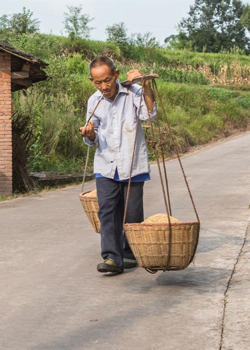 为什么长期挑担子的农户感觉很轻松,从来没有挑过的感觉很吃力?