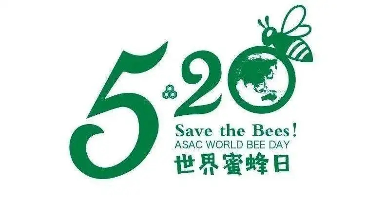520世界蜜蜂日:感恩蜜蜂与爱同行,小蜜蜂大贡献