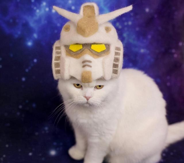 猫毛再利用,制作可爱高达主题帽子__财经头条