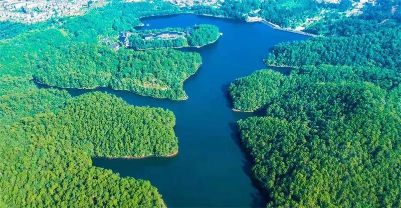 春水潺潺再访普洱梅子湖