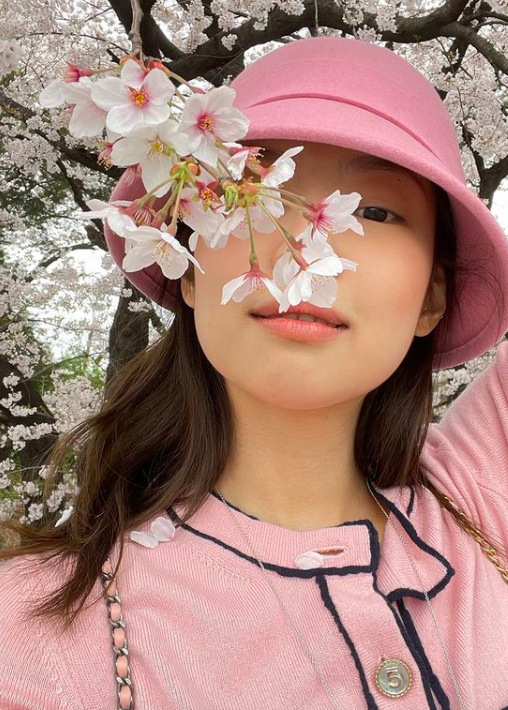 jennie踏春赏樱花全身粉衣十足少女气息