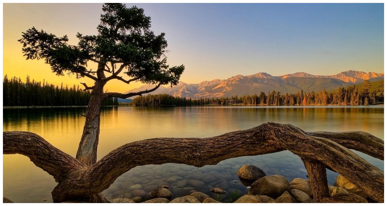 生肖猪属兔的人,天生聪慧好学,虽然出生在一个不富裕的家庭,他们却能