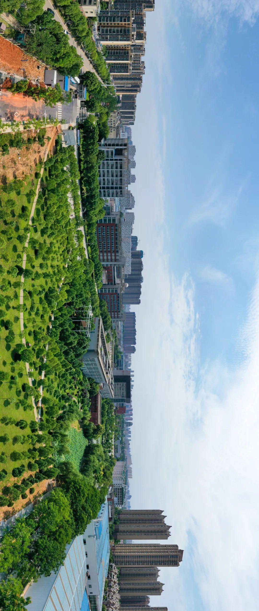 云赏武城,是我爱的那片风景!__财经头条