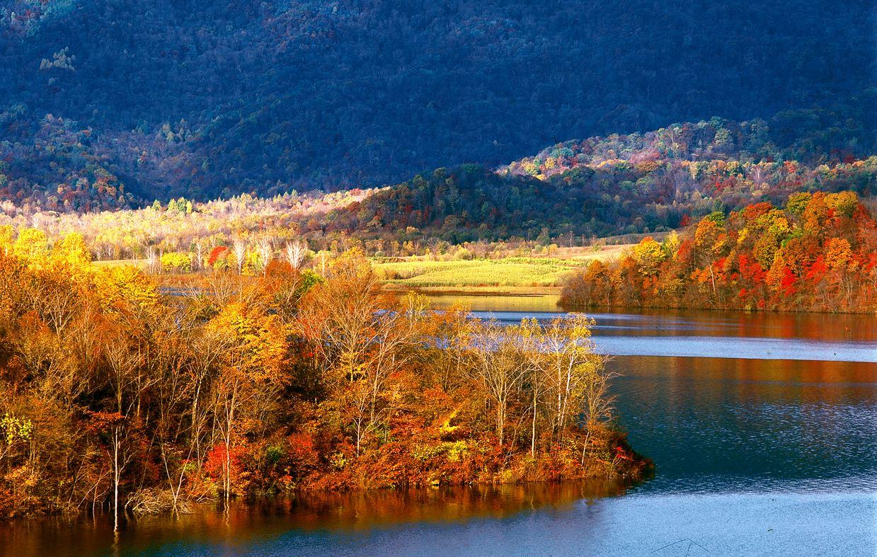 黑龙江凤凰山森林公园,植被茂盛,风景优美__财经头条