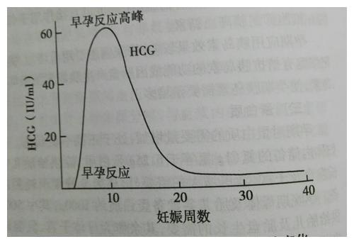 孕吐越厉害,说明胎儿越健康?和hcg值还有关系?