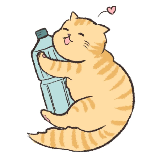 怕猫猫中暑快用这5招让它保持凉快