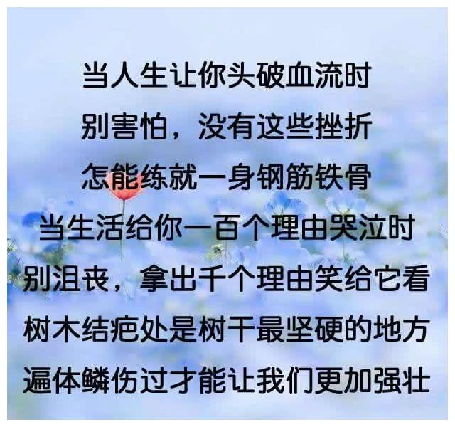 我谁也不靠,靠自己才是正道!