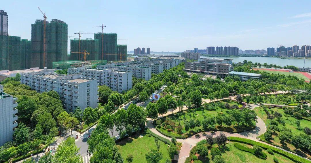 云赏武城,是我爱的那片风景!__财经头条