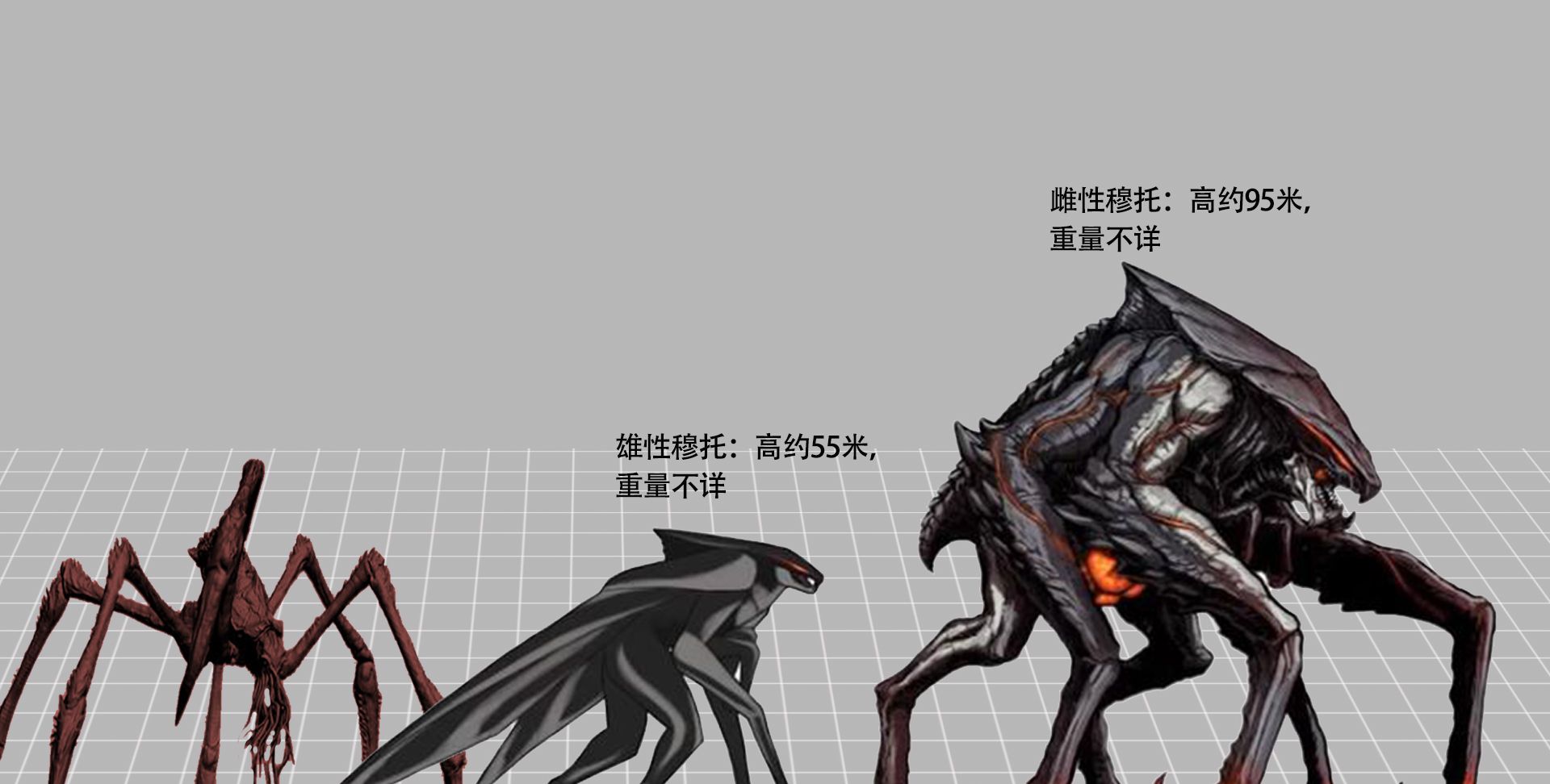 和姚明比身高系列,在哥斯拉等巨兽面前,骷髅岛金刚成了小不点