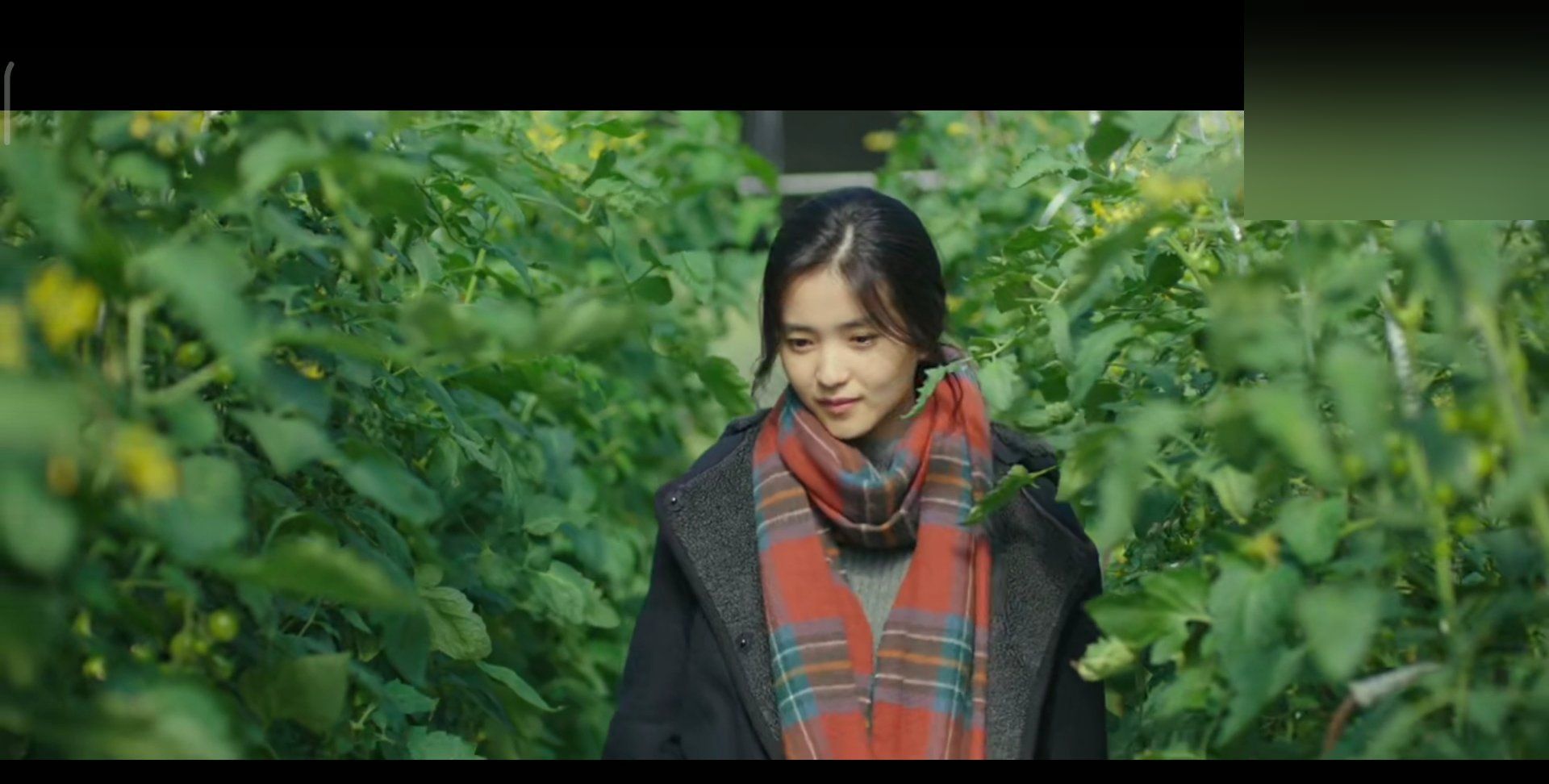 选自电影《小森林》