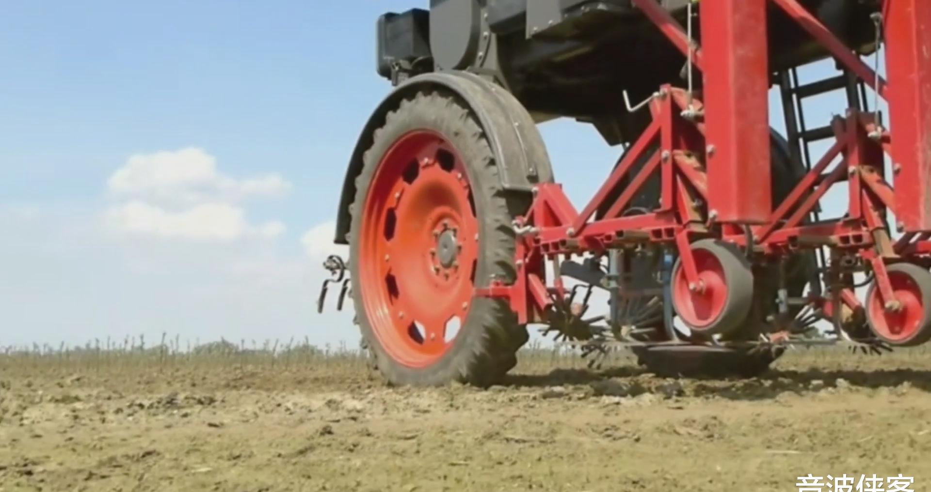 高地隙门式拖拉机在农田中机械除草