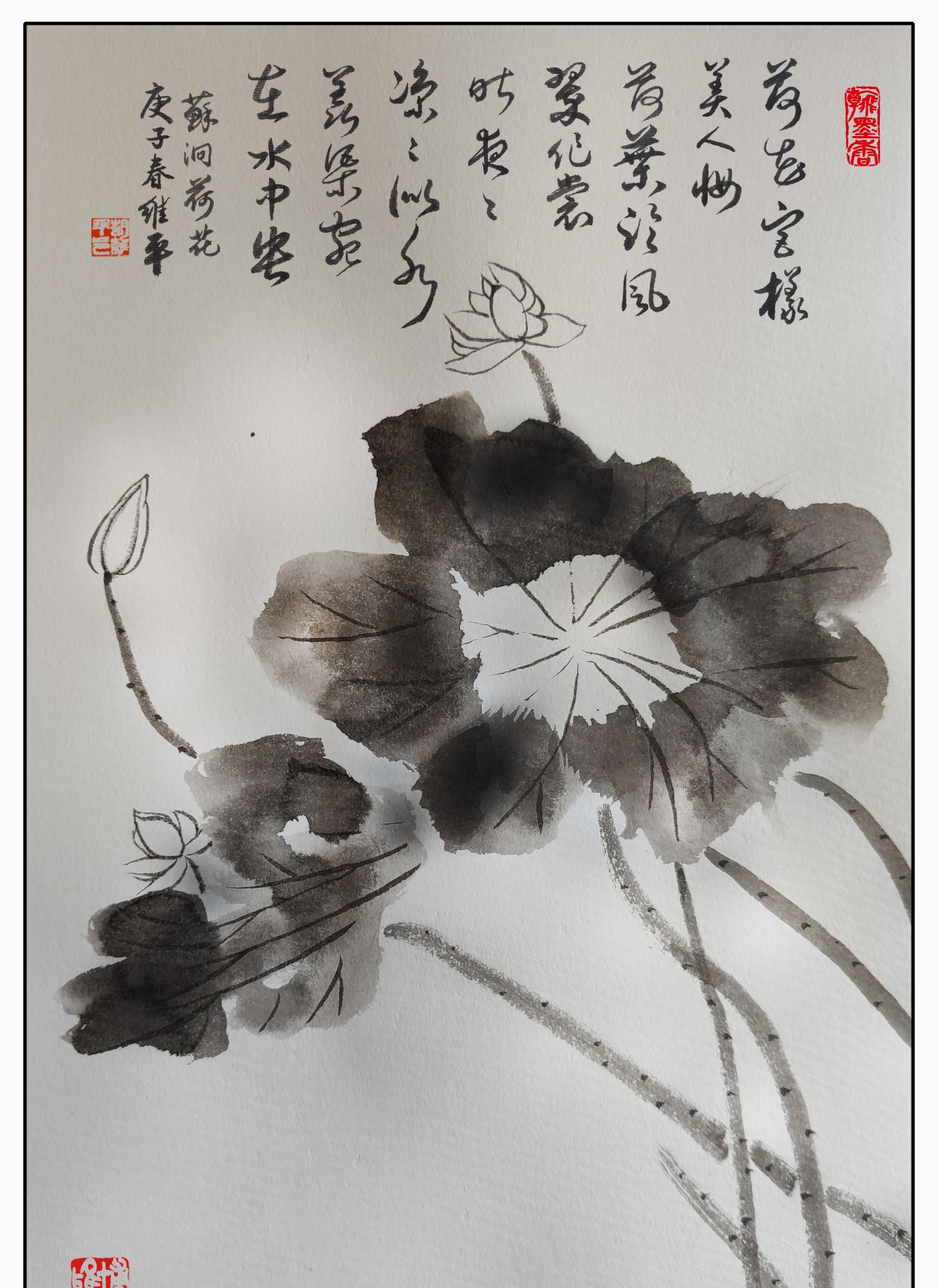 胡维平草书,行书,写意画 宋朝·苏泂《荷花》