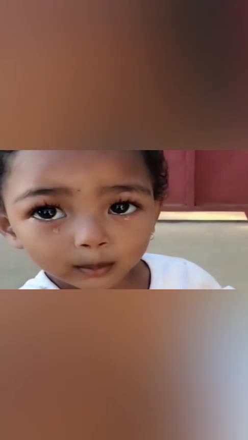 哪家好!中非混血儿智商低下吗"意气风发"-第2张图片-平白博客