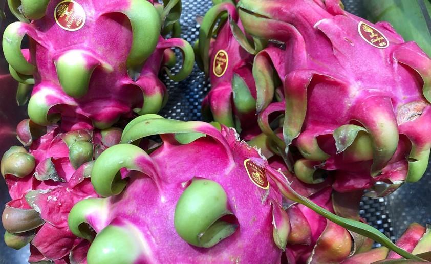 买火龙果,红心和白心只是颜色不同?其实区别很大,别再乱买了!|火龙果|