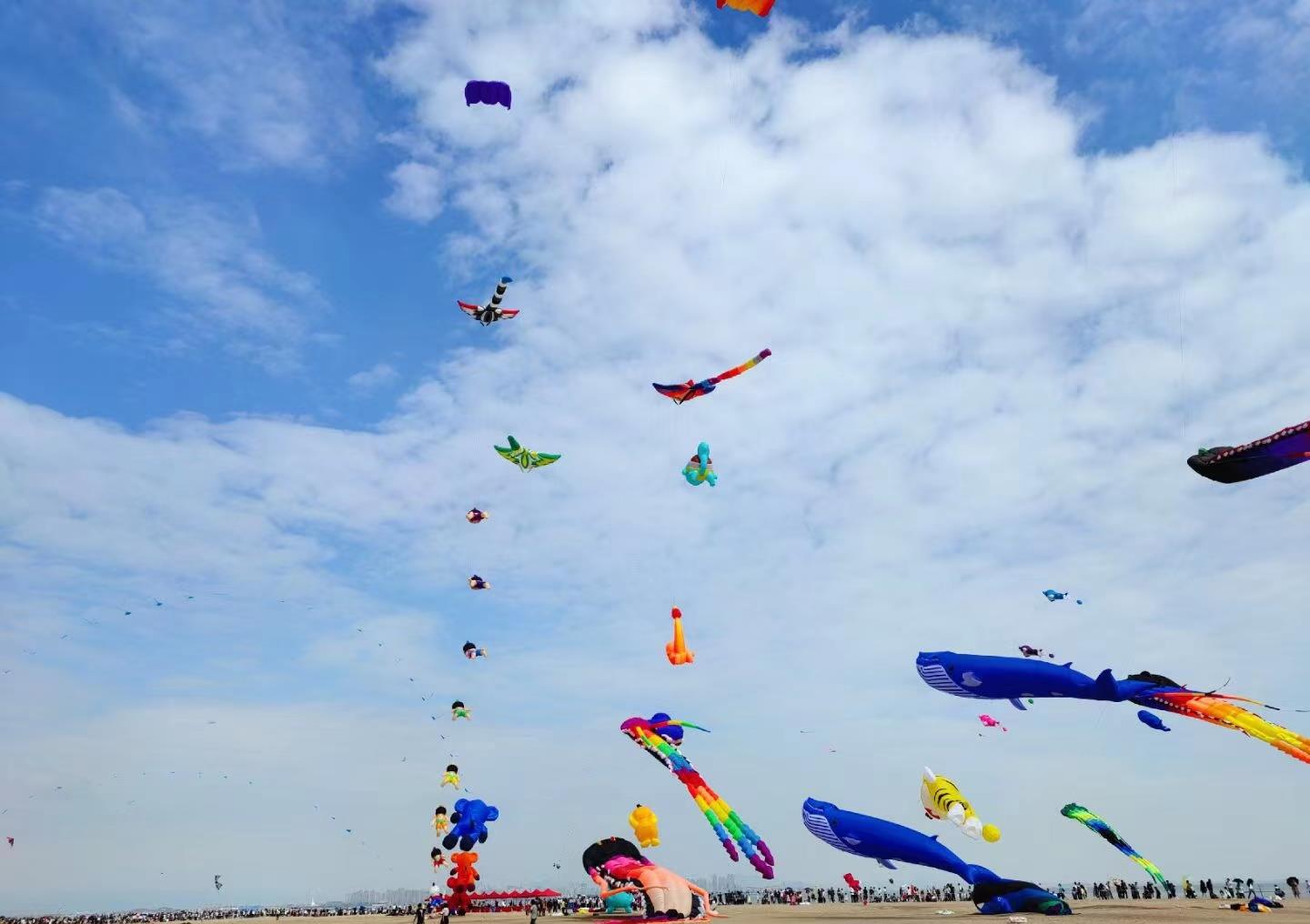 去厦门风筝节赚点零花钱