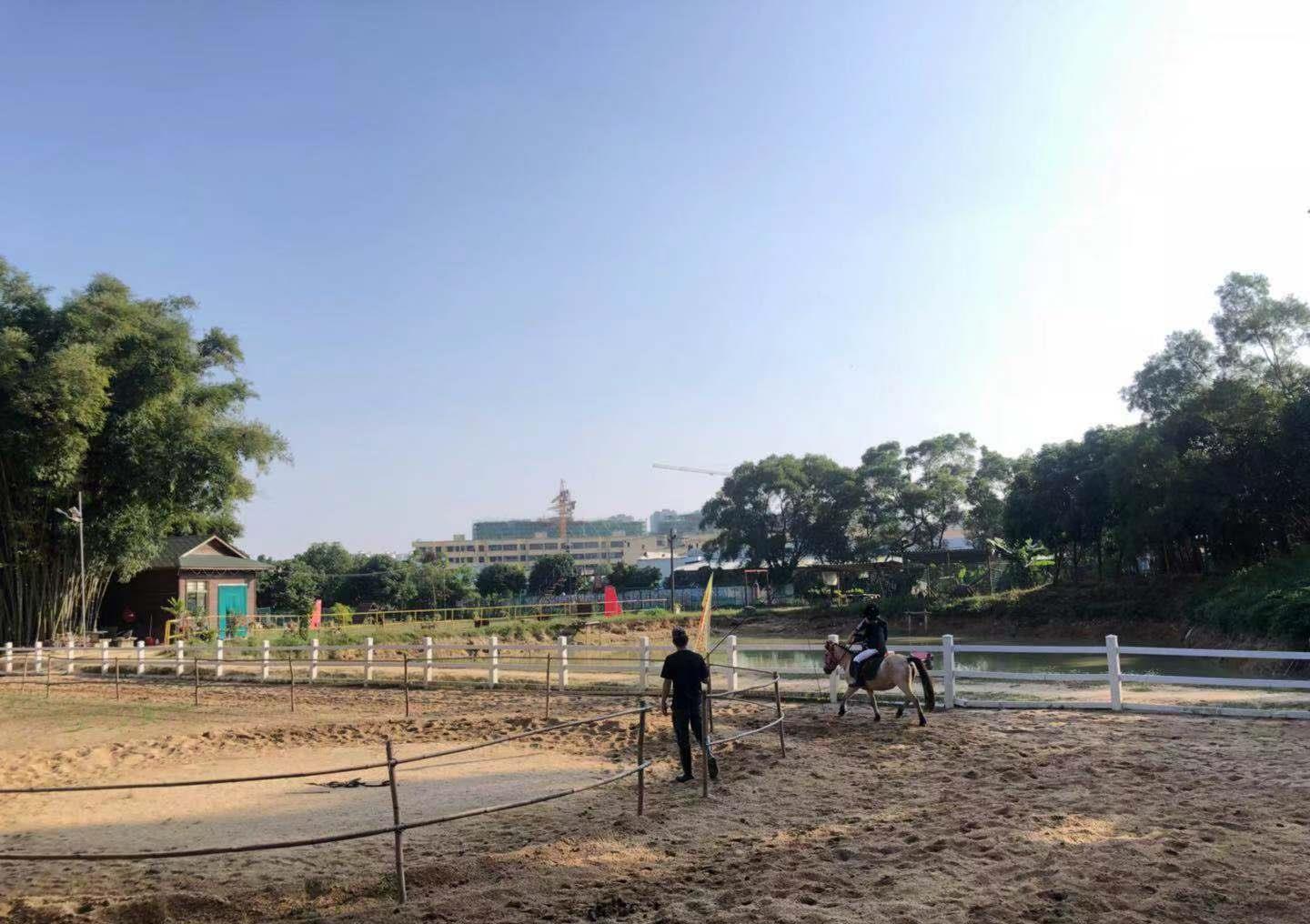 珠海带孩子学骑马的好地方珠海马场英格马术俱乐部