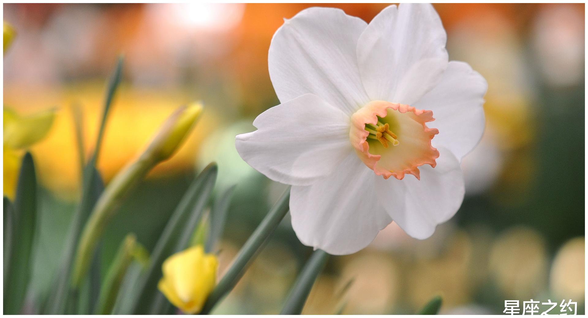 11月2日星座运势 双子斗志昂扬 狮子换位思考 摩羯提高警惕 财经头条 11月2日星座运势 双子斗志昂扬 狮子换位思考 摩羯提高警惕 财经头条