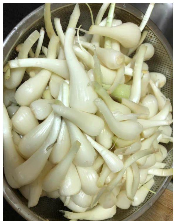 告大家:天热,不要错过一菜,洗肠又刮油,准时上厕所|荞头|馋猫|五花肉