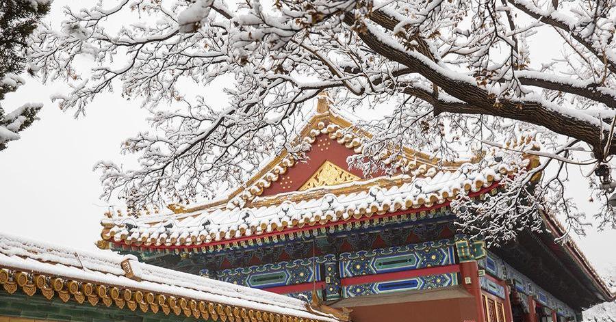 故宫 初冬时节 偶遇故宫雪 梦回紫禁城 财经头条