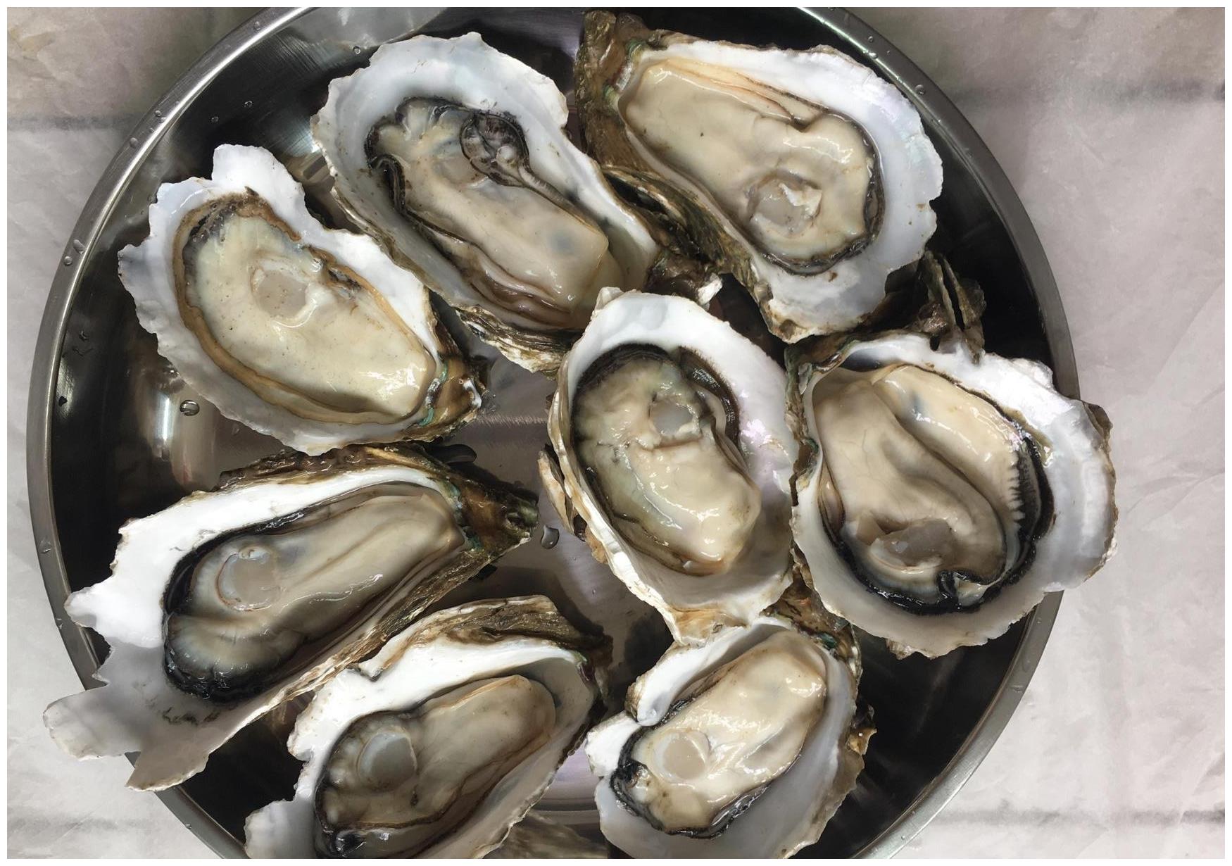 教你挑选生蚝的3个窍门,学会后买到的生蚝更新鲜,蒸熟后更好吃